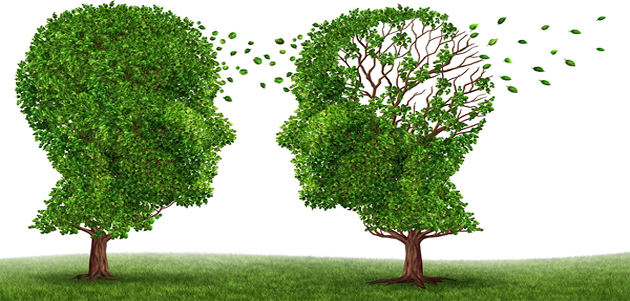 Τι είναι η άνοια και η Νόσος Alzheimer
